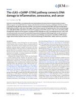 The cGAS–cGAMP-STING pathway connects DNA damage to inflammation, senescence, and cancer