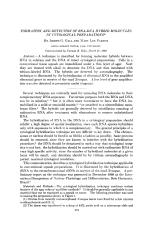 FORMATION AND DETECTION OF RNA-DNA HYBRID MOLECULES IN CYTOLOGICAL PREPARATIONS*