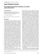 The ubiquitin–proteasome pathway: on protein death and cell life