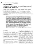Soil bacterial and fungal communities across a pH gradient in an arable soil