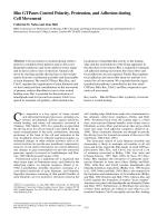 Rho GTPases Control Polarity, Protrusion, and Adhesion during Cell Movement