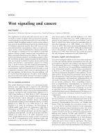 Wnt signaling and cancer
