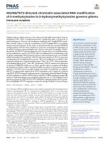 NSUN5/TET2-directed chromatin-associated RNA modification of 5-methylcytosine to 5-hydroxymethylcytosine governs glioma immune evasion