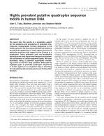 Highly prevalent putative quadruplex sequence motifs in human DNA