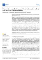Glymphatic System Pathology and Neuroinflammation as Two Risk Factors of Neurodegeneration