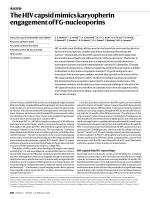 The HIV capsid mimics karyopherin engagement of FG-nucleoporins
