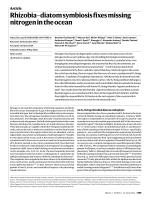 Rhizobia–diatom symbiosis fixes missing nitrogen in the ocean