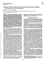 Coherent 40-Hz oscillation characterizes dream state in humans