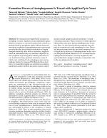 Formation Process of Autophagosome Is Traced with Apg8/Aut7p in Yeast