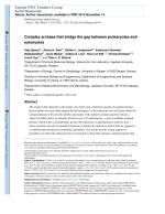 Complex archaea that bridge the gap between prokaryotes and eukaryotes