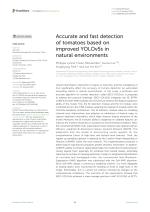 Accurate and fast detection of tomatoes based on improved YOLOv5s in natural environments