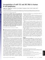 Accumulation of miR-155 and BIC RNA in human B cell lymphomas
