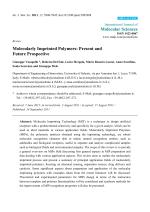 Molecularly Imprinted Polymers: Present and Future Prospective