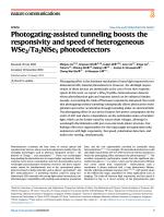 Photogating-assisted tunneling boosts the responsivity and speed of heterogeneous WSe2/Ta2NiSe5 photodetectors