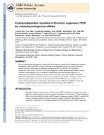 Coding-independent regulation of the tumor suppressor PTEN by competing endogenous mRNAs