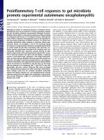 Proinflammatory T-cell responses to gut microbiota promote experimental autoimmune encephalomyelitis