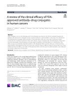 A review of the clinical efficacy of FDA-approved antibody-drug conjugates in human cancers