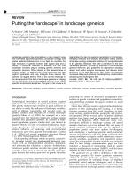 Putting the 'landscape' in landscape genetics