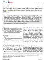 RIPK3 signaling and its role in regulated cell death and diseases