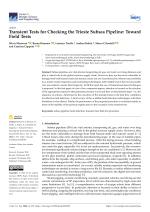 Transient Tests for Checking the Trieste Subsea Pipeline: Toward Field Tests