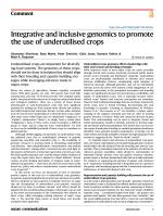 Integrative and inclusive genomics to promote the use of underutilised crops