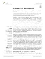 S100A8/A9 in Inflammation