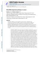 MicroRNA biogenesis pathways in cancer