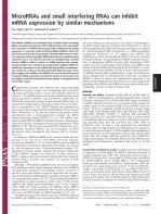MicroRNAs and small interfering RNAs can inhibit mRNA expression by similar mechanisms