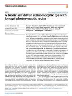 A bionic self-driven retinomorphic eye with ionogel photosynaptic retina
