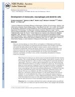Development of monocytes, macrophages and dendritic cells