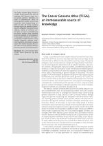 The Cancer Genome Atlas (TCGA): an immeasurable source of knowledge