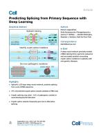 Predicting Splicing from Primary Sequence with Deep Learning