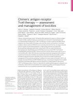 Chimeric antigen receptor T-cell therapy — assessment and management of toxicities