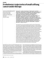 Evolutionary trajectories of small cell lung cancer under therapy
