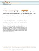 Iron-based cathode catalyst with enhanced power density in polymer electrolyte membrane fuel cells