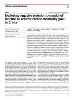 Exploring negative emission potential of biochar to achieve carbon neutrality goal in China