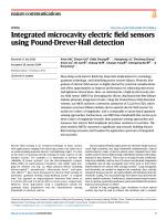 Integrated microcavity electric field sensors using Pound-Drever-Hall detection