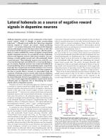Lateral habenula as a source of negative reward signals in dopamine neurons