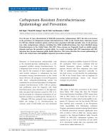 Carbapenem-Resistant Enterobacteriaceae: Epidemiology and Prevention