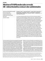 Motion of VAPB molecules reveals ER-mitochondria contact site subdomains