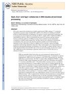 Sae2, Exo1 and Sgs1 collaborate in DNA double-strand break processing