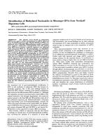 Identification of Methylated Nucleosides in Messenger RNA from Novikoff Hepatoma Cells