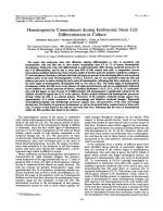 Hematopoietic Commitment during Embryonic Stem Cell Differentiation in Culture