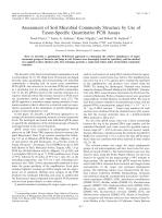 Assessment of Soil Microbial Community Structure by Use of Taxon-Specific Quantitative PCR Assays
