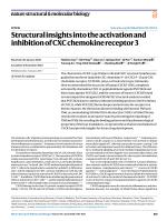 Structural insights into the activation and inhibition of CXC chemokine receptor 3