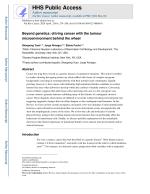 Beyond genetics: driving cancer with the tumour microenvironment behind the wheel