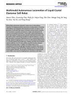 Multimodal Autonomous Locomotion of Liquid Crystal Elastomer Soft Robot