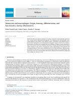 Monocytes and macrophages: Origin, homing, differentiation, and functionality during inflammation