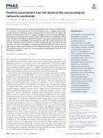 Positive associations fuel soil biodiversity and ecological networks worldwide