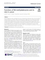 Functions of N6-methyladenosine and its role in cancer